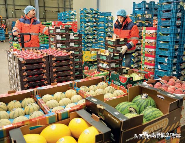 高端水果與蔬菜一手進貨渠道全攻略