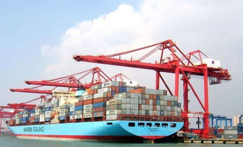 中俄豬肉貿(mào)易背后的國際博弈與民生考量