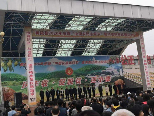 促增收，助脫貧——雙龍鎮(zhèn)參加全縣消費(fèi)扶貧產(chǎn)品展銷會(huì)，開展經(jīng)營(yíng)助力打贏脫貧攻堅(jiān)戰(zhàn)